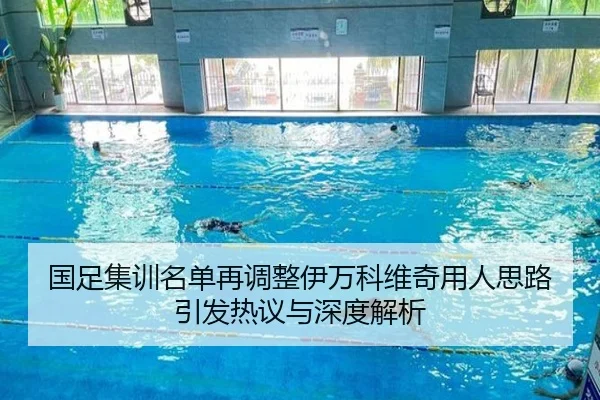 国足集训名单再调整伊万科维奇用人思路引发热议与深度解析